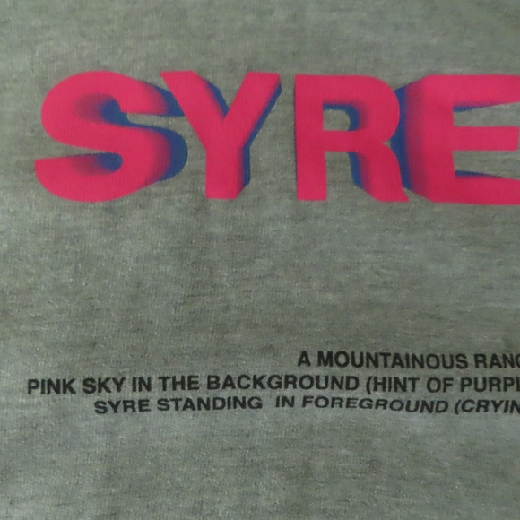 MSFTSrep Men’s SYRE - A Beautiful Vision Kangaroo Hoodie - L - grey - Picture 6 of 10